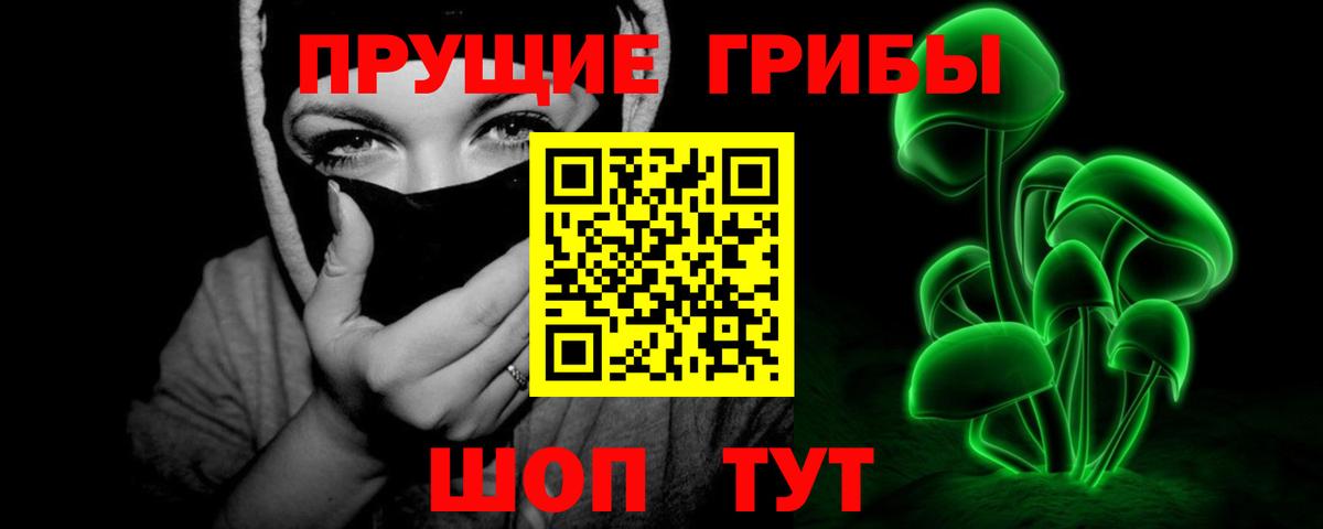 Псилоцибиновые грибы прущие грибы  Вход с VPN  Великие Луки 